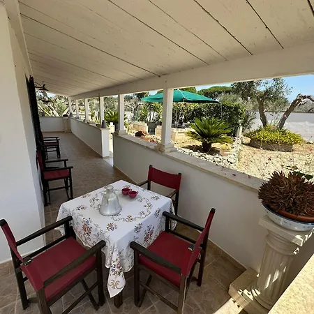 Ni By Professione Vacanze